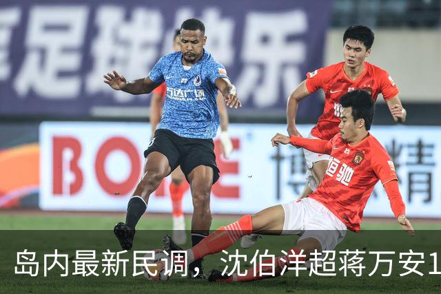岛内最新民调，沈伯洋超蒋万安17%，外界讽：都是赵少康的'功劳'
